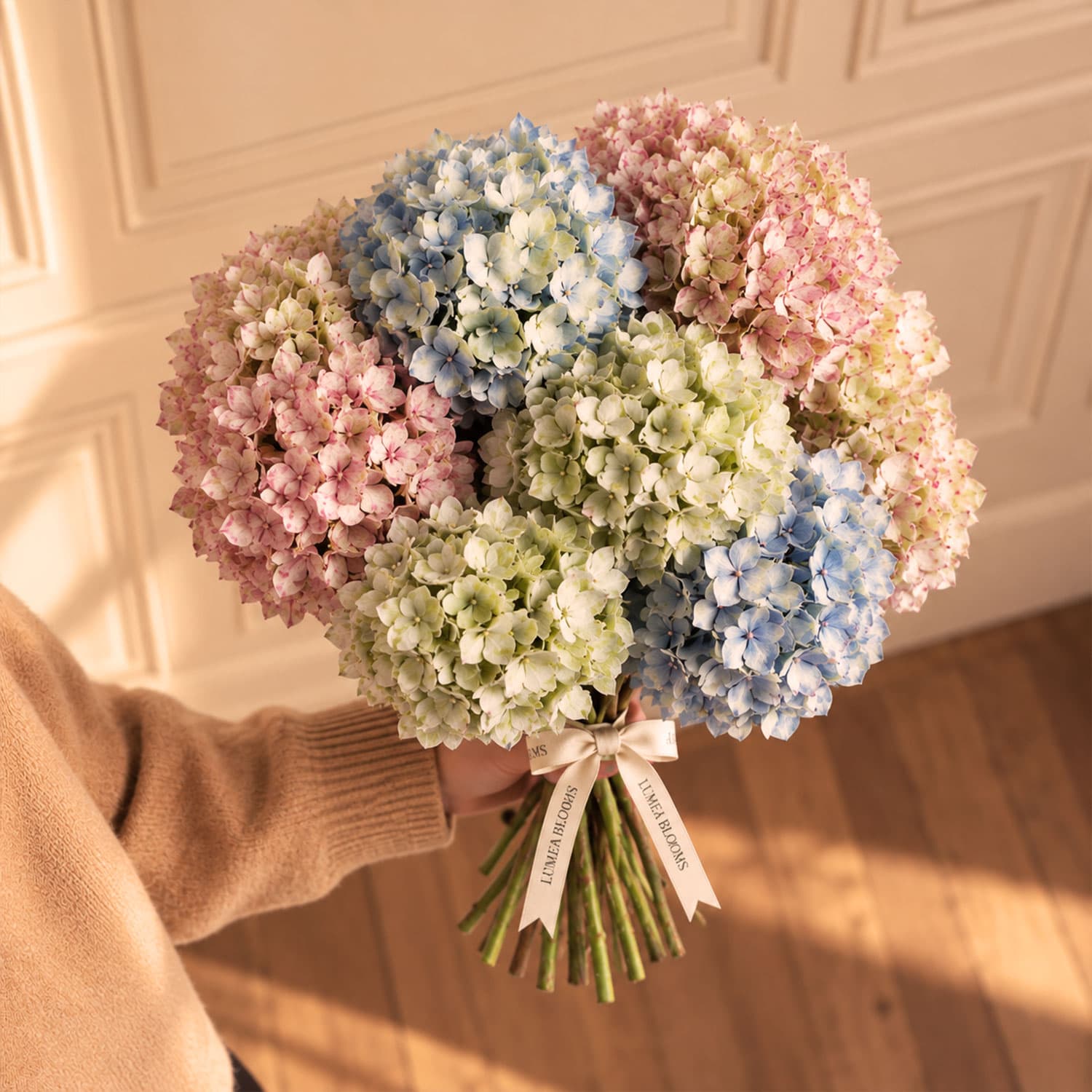 Ramo de hortensias