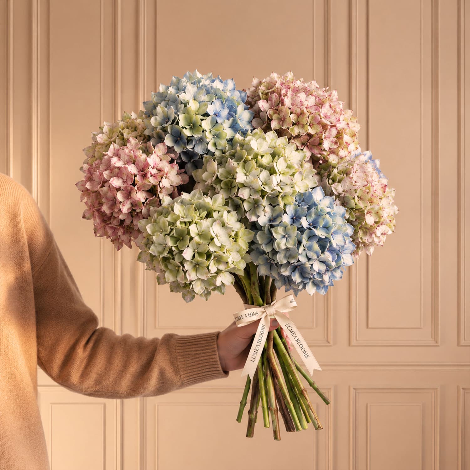 Hermoso ramo nupcial compuesto por flores frescas de hortensias en una mezcla sutil de colores blanco y azul pastel, envuelto con una cinta decorativa.